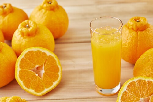 搾りたてデコポン