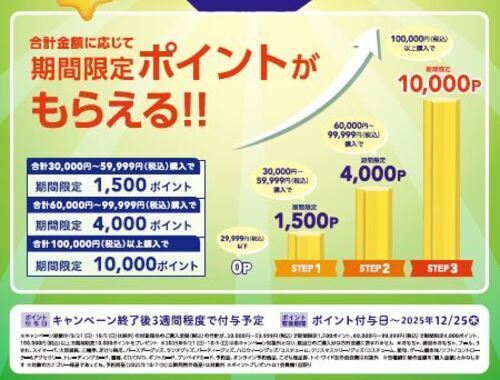 ボーナスポイント②