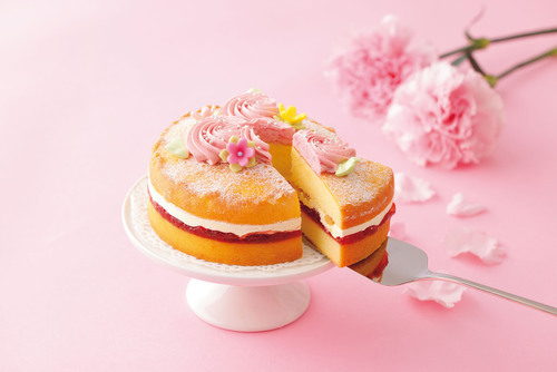 【ご予約承り中】母の日にお勧めデコレーションケーキ